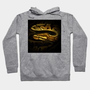 Python Hoodie